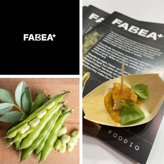 Fabea article - Fava bean, an ancient cultivated plant makes new food innovations possible.